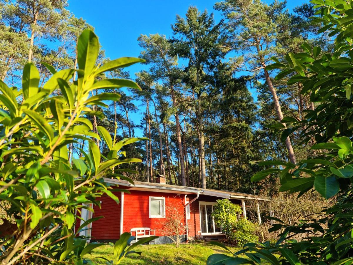 Waldhaus Doetlingen Ferienhaus Im Naturpark 외부 사진