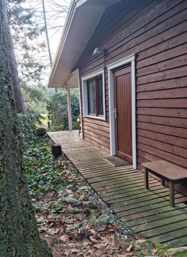 Waldhaus Doetlingen Ferienhaus Im Naturpark 외부 사진